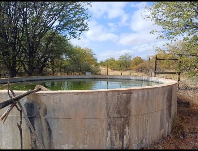 FARM FOR SALE IN MUSINA